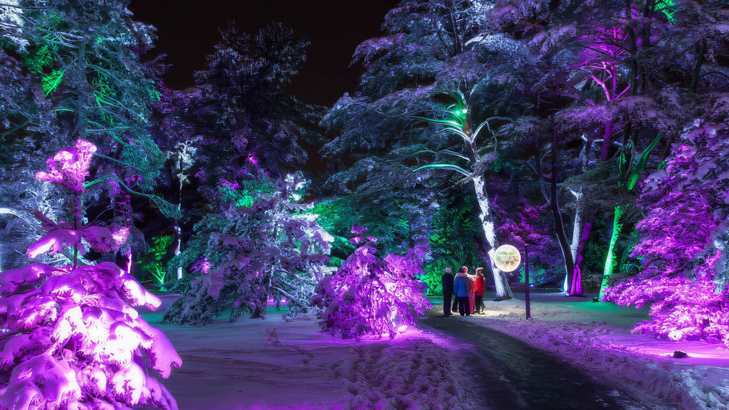 Lightswitch and Elation transform Morton Arboretum into magical wonderland of light