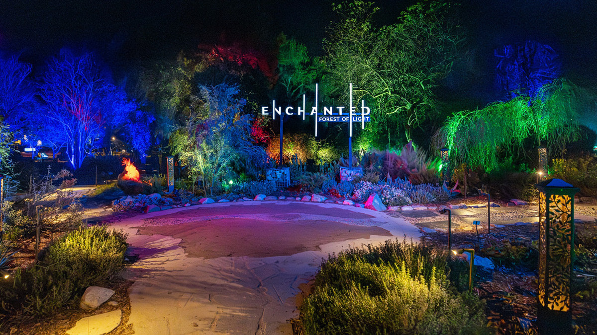 Lightswitch evolves “Enchanted Forest of Light” with expanded Elation lighting package