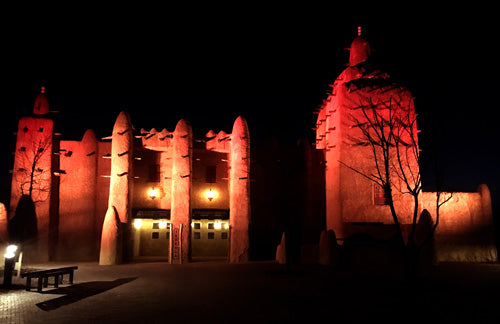 Holland’s Wildlands Adventure Zoo Comes to Life with Elation Lighting