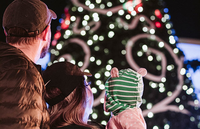 Elation IP-rated lighting for California Bayside’s outdoor Christmas village and light show