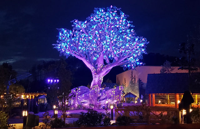 Elation shares in magic of Dollywood Wildwood Grove Tree