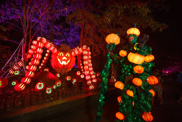 Dollywood “Great Pumpkin LumiNights” Aglow in Elation Lighting