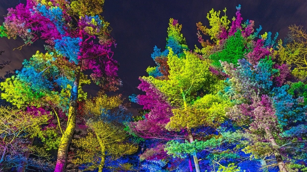 Lighting The Way: ILC’s Pioneering Use Of Elation’s Proteus Fixtures