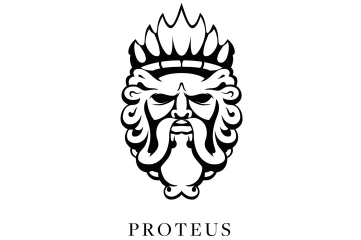 Elation Professional Unleashes Creativity with New Proteus™ Series of IP-rated Moving Lights