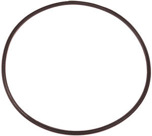 MAIN LENS GASKET FOR PROTEUS BEAM