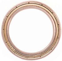 SOI 61807 BEARING WITH RING FOR ACL 360I