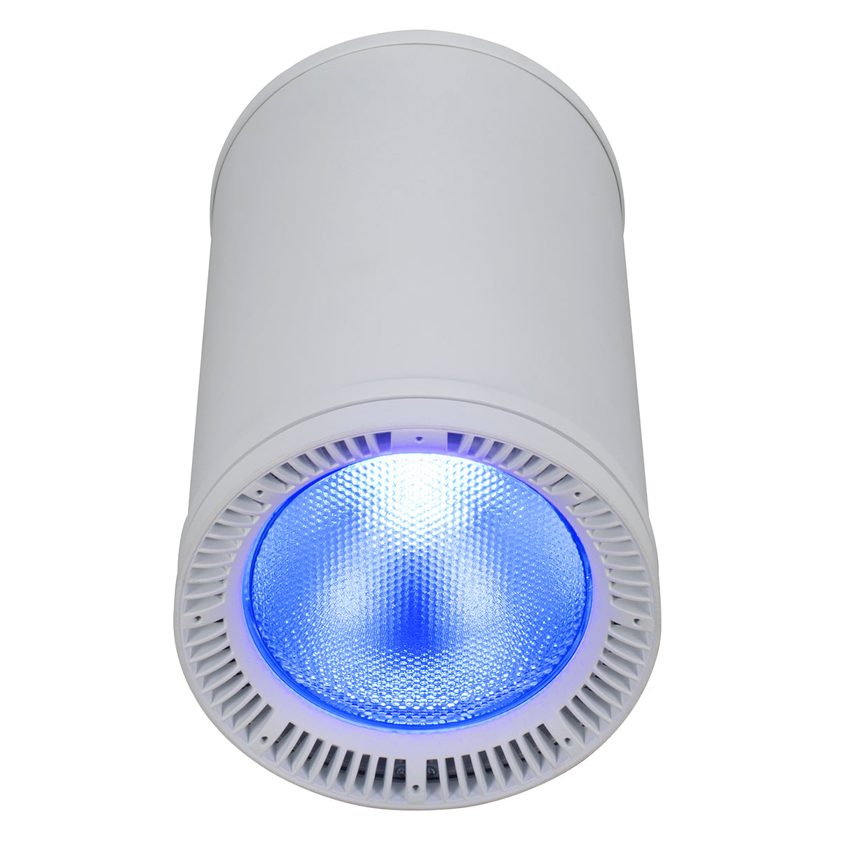 FUZE PENDANT WH