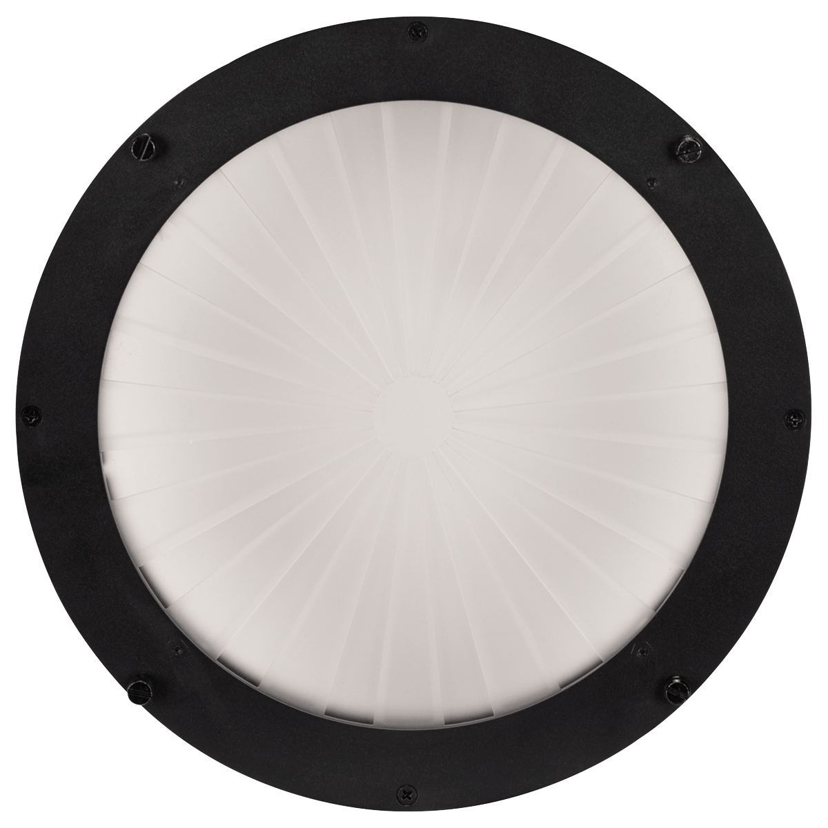 FUZE Wash 500 Radial Frost