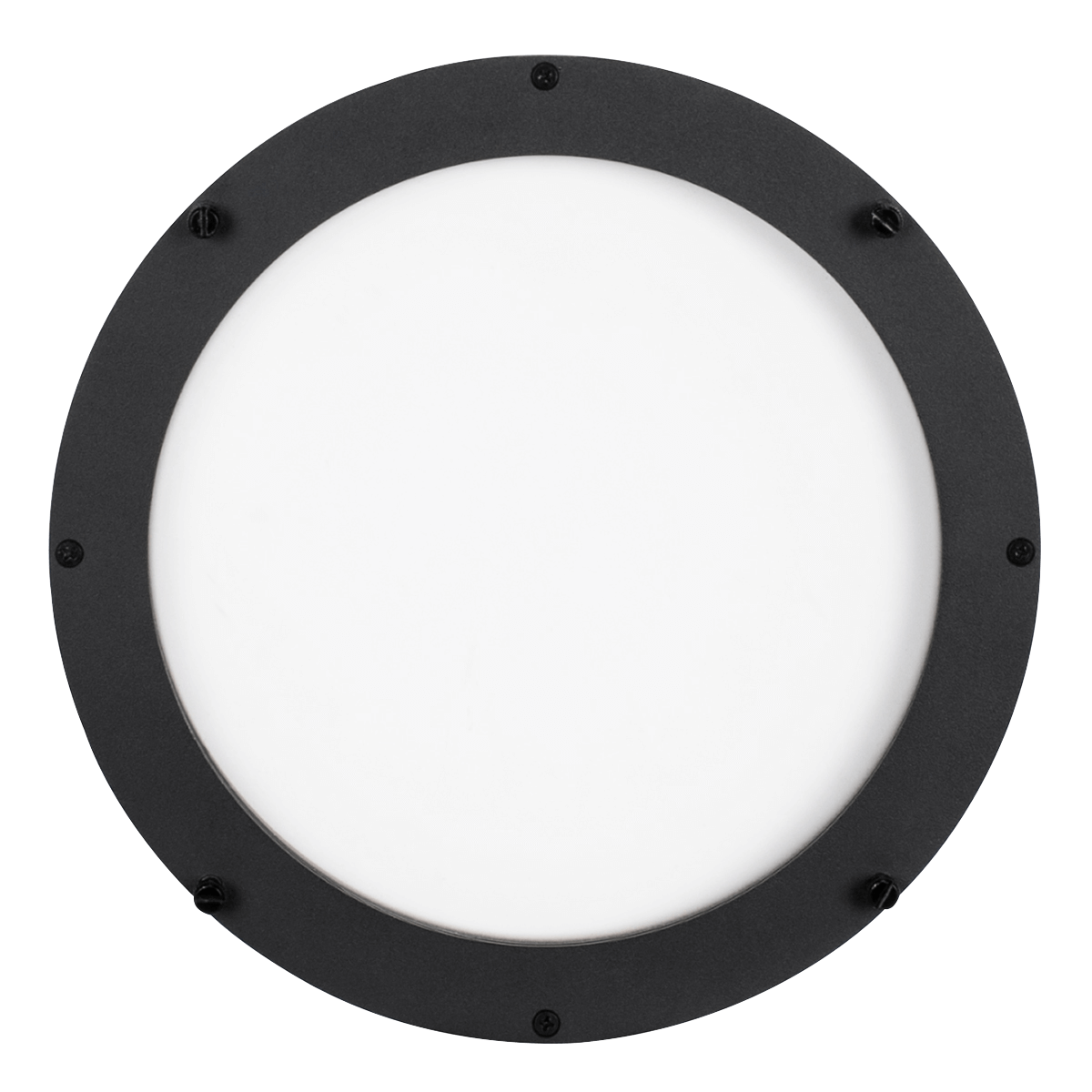 FUZE WASH 500 Ovalizer