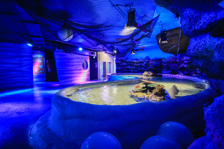 Elation Helps Create Aquatic Atmosphere at Mexico City’s Inbursa Aquarium