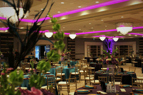 Elation LED Flex Pixel Tape Provides Efficient Decorative Lighting Solution for Sheraton Houston