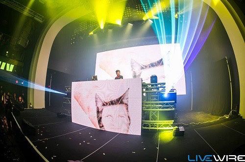Electrifying Elation Lighting and Video Package for Livewire in Arizona