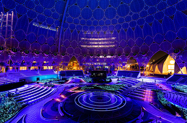 250+ Proteus Maximus™ fulfill key visual role at Expo 2020