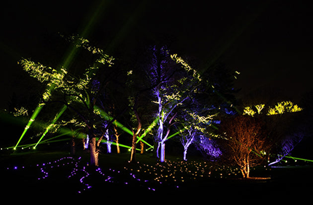 Lightswitch Explores New Designs for Illumination at Morton Arboretum