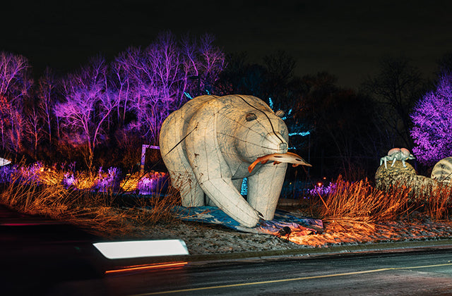 Legacy, Elation and Obsidian team up for “Nature Illuminated” at Minnesota Zoo