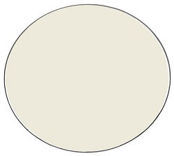 FROST FILTER LENS FOR PROTEUS BRUTUS