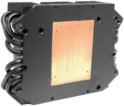 SOI RADIATOR FOR PROTEUS LUCIUS