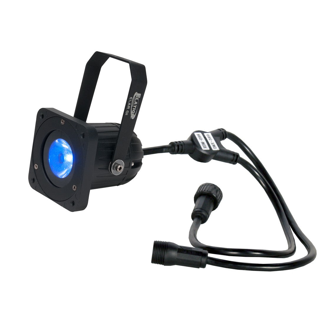 ELAR Q1