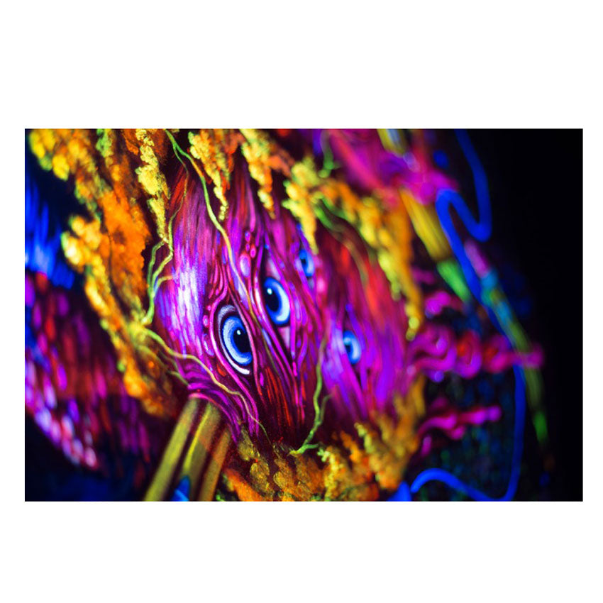 DARKFX UV WASH 2000IP