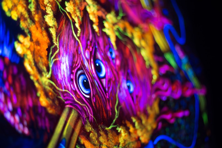 Black Light Artist Uses Antari UV Lights to Reveal Unique Works of ArtGallery Image antari   ldi  2871 