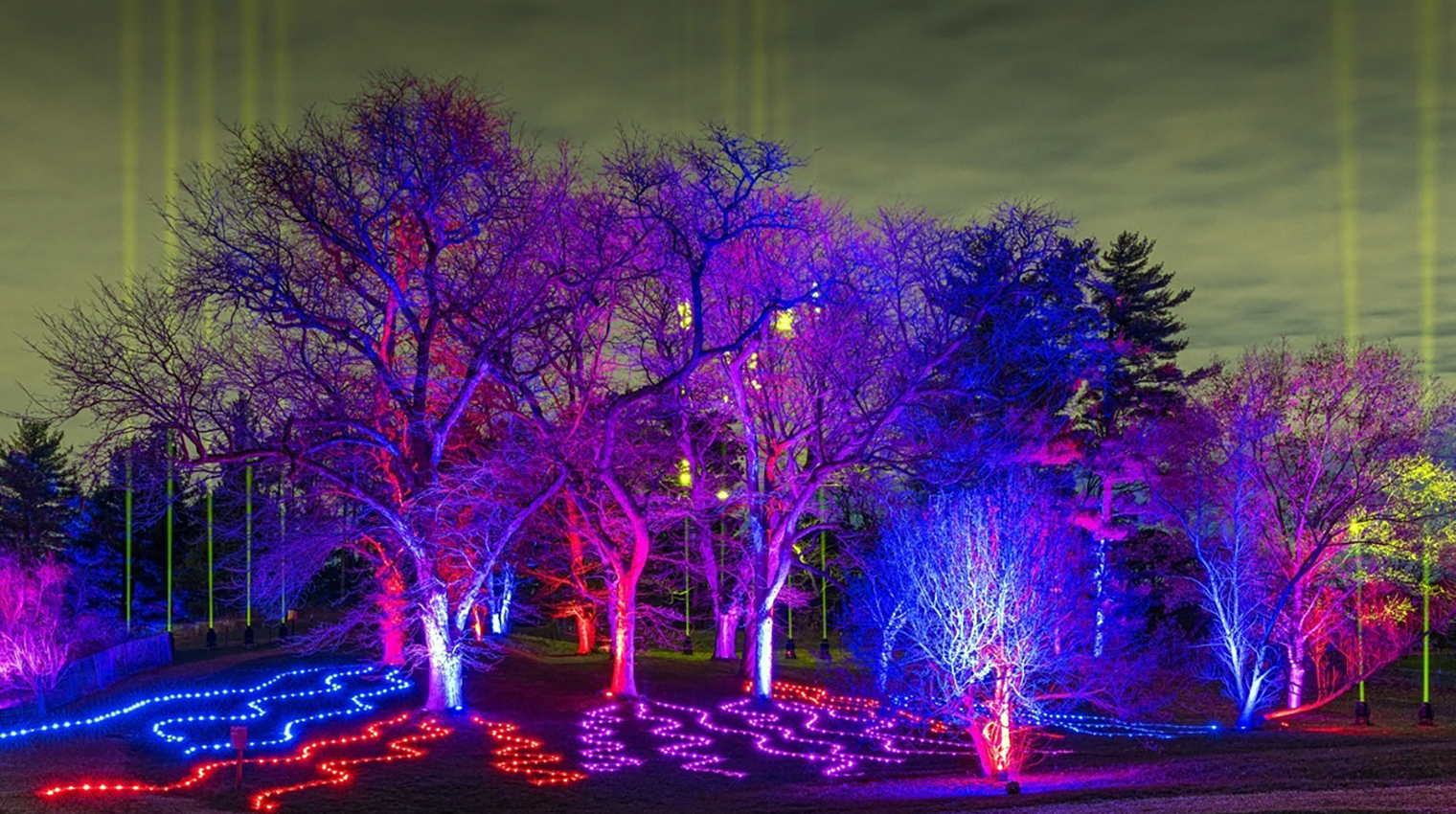 Over 700 Elation lights for 2020 Illumination – Tree Lights at The ...